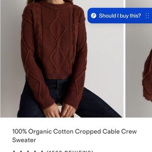 Quince Organic Cotton Cable Knit Crew Sweater - Brown